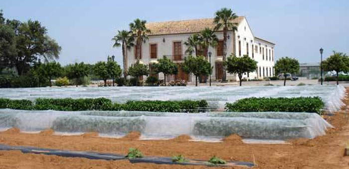 Visita Al Centro De Experiencias Del Grupo Cajamar En Paiporta Band