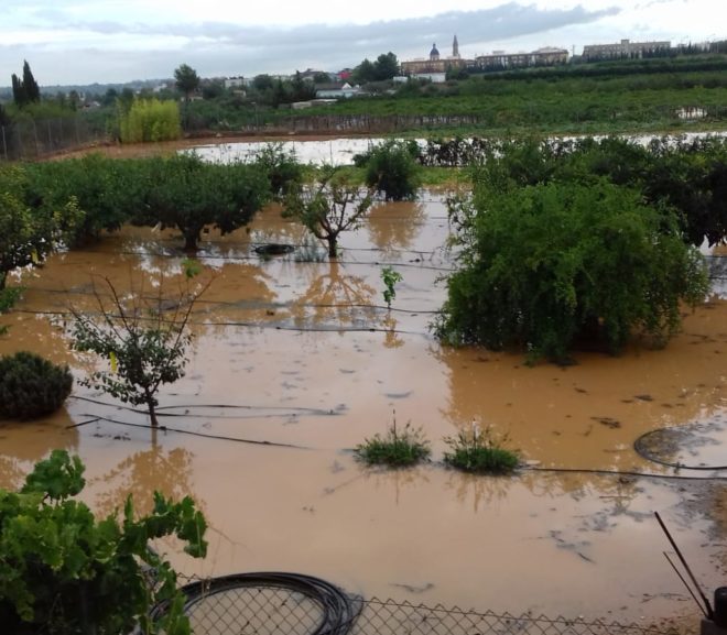 Las últimas lluvias causan pérdidas en la agricultura