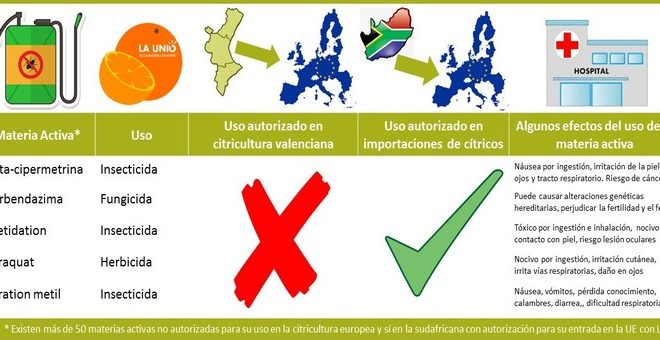 Sudáfrica utiliza productos fitosanitarios prohibidos para cultivar sus cítricos