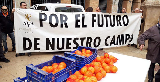 Reparten naranjas en forma de protesta