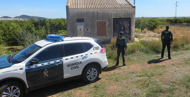 89.000 kilos de algarrobas robados en la Hoya