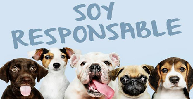 Cheste pone en marcha la campaña “Soy Responsable»