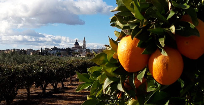 La lluvia es bien recibida por los agricultores