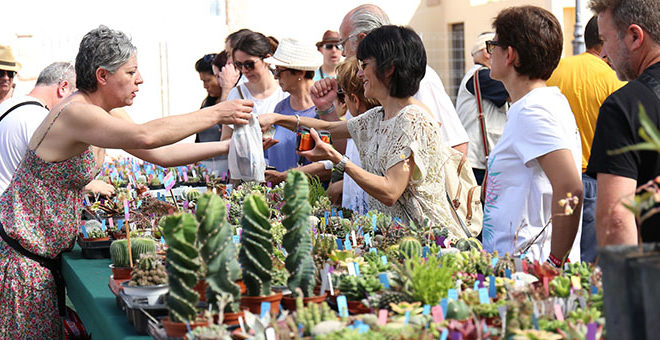 Cheste epicentro de las plantas suculentas