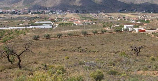Aumenta el abandono de tierras en la Comunidad