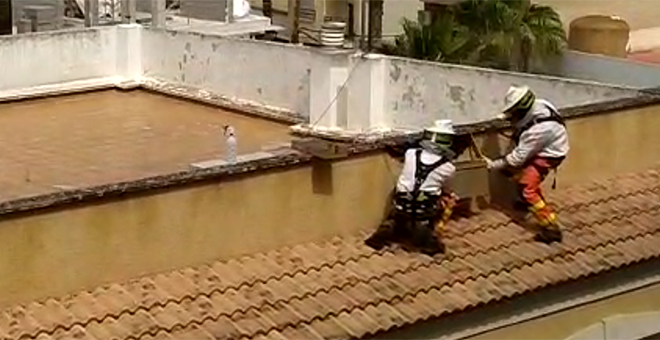 Espectacular panal de abejas en la calle Literato Azorín