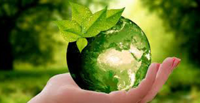 Mejora medioambiental del municipio