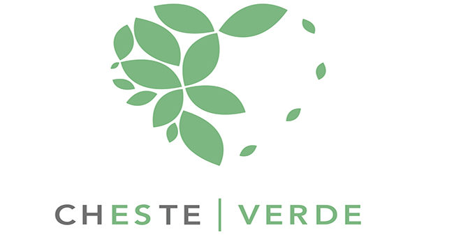 Arranca la puesta en funcionamiento del proyecto Cheste Luz Verde