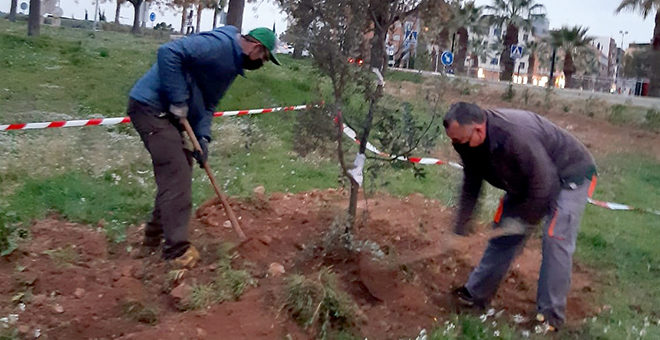 Continúa la mejora de los espacios verdes de Cheste