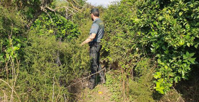 La Guardia Civil de Cheste localiza un niño de dos años perdido