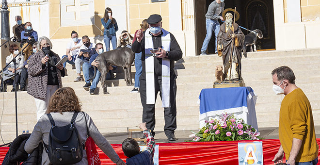Cheste recupera las celebraciones de San Antón