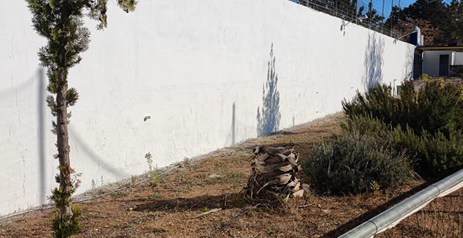 Comienzan las mejoras en el campo de La Viña