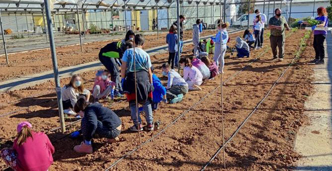 Taller de plantación para alumnado de Primaria