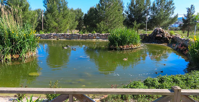 Residentes de Savia participan en una suelta de peces