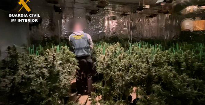 Desmantelan dos chalés con marihuana en Godelleta y Chiva