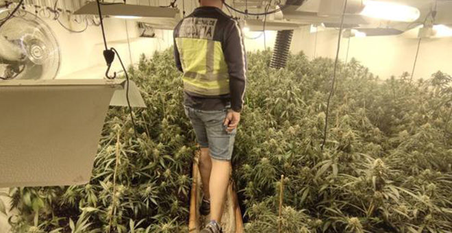 Detenido en Chiva con 92 kilos de marihuana