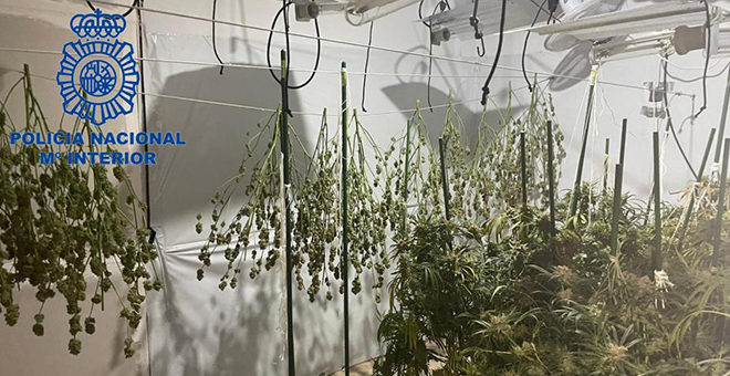 Detenidos por tráfico de droga en Buñol