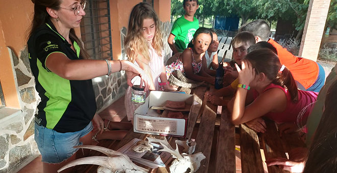 Taller de educación ambiental