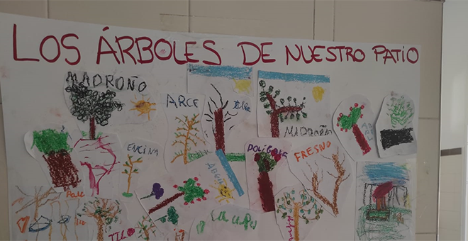 Alumnado de Primaria participa en actividades de educación ambiental
