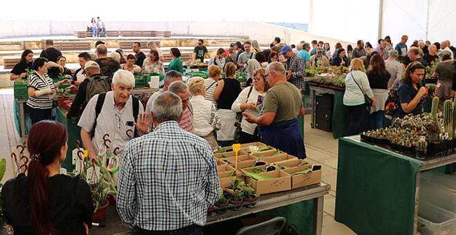 III Feria de Medio Ambiente