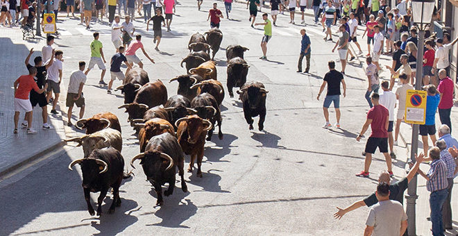 Entrá de toros especial con motivo del 50 aniversario de las Fiestas