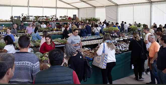 La Feria de Medio Ambiente llena la Lomiquia