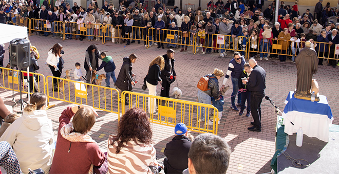 San Antón en la plaza de la Ermita