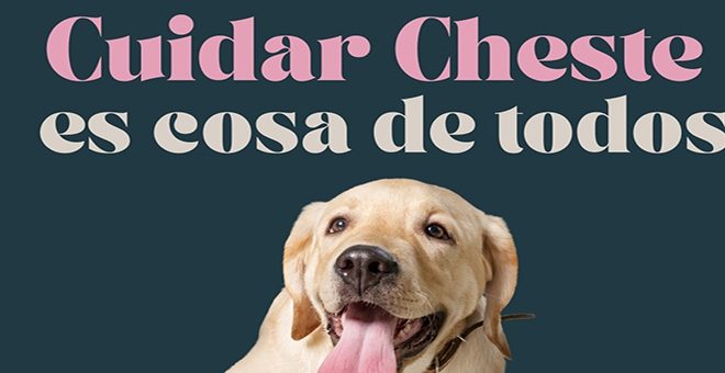 El Ayuntamiento apela al civismo vecinal para mantener las calles limpias