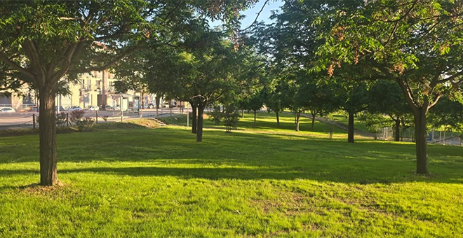 Nuevo pulmón verde para Cheste