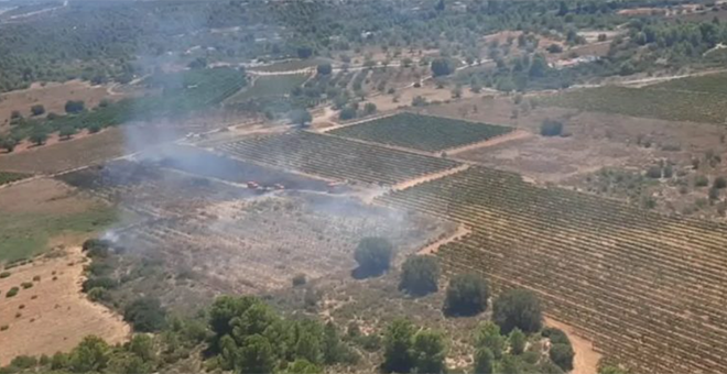 Incendio forestal en Cheste